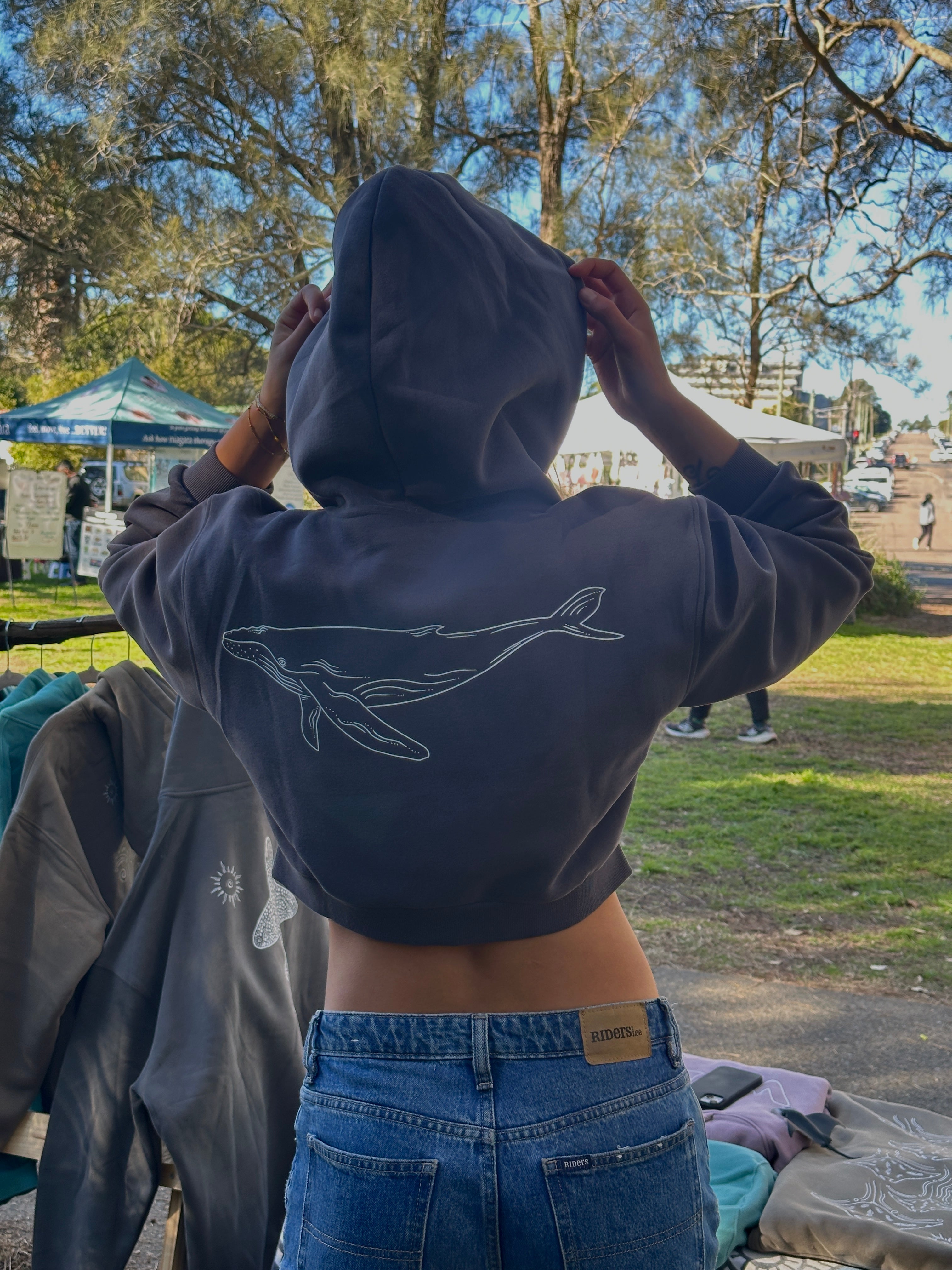 Cropped (Humpback Whale)